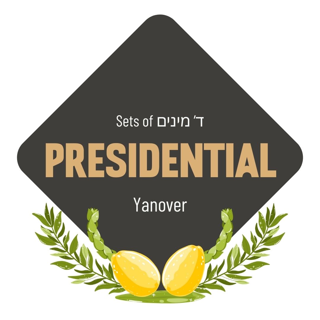 Lulav & Esrog - Presidential Set (Yanover)