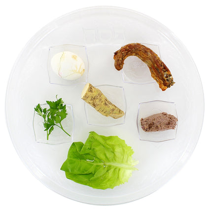 Seder Plate - Clear - 12 Pack