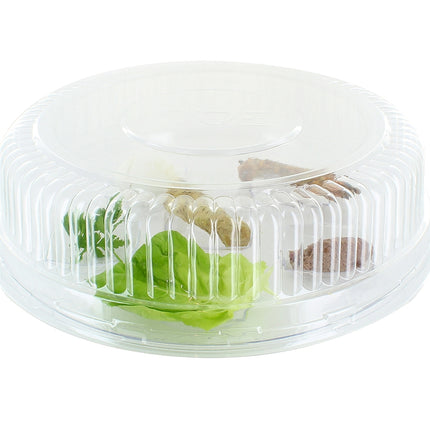 Disposable Deli Lid For Clear Seder Plate - 12 Pack