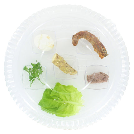 Disposable Deli Lid For Clear Seder Plate - 12 Pack