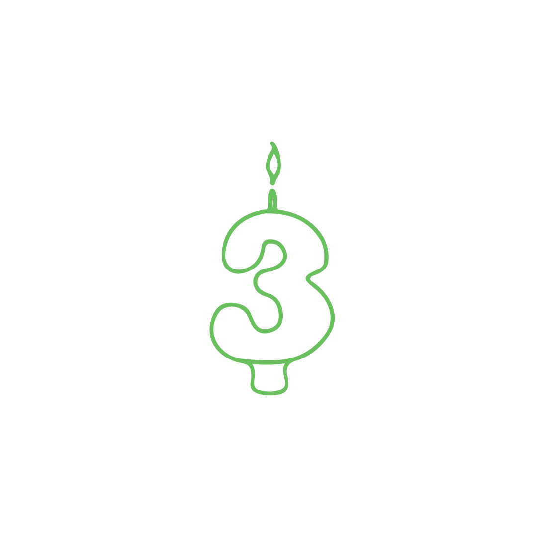 Life Cycle - Girl's 3rd Birthday