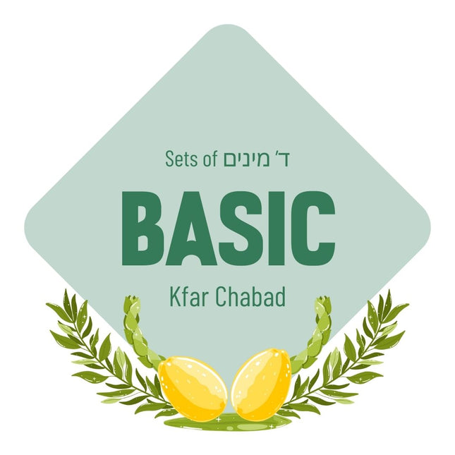 Lulav & Esrog Set - Basic (Kfar Chabad)