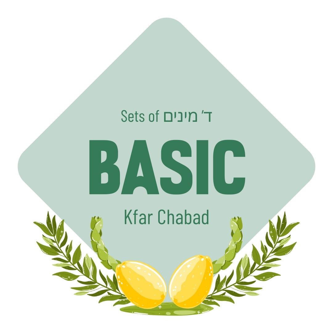 Lulav & Esrog Set - Basic (Kfar Chabad)