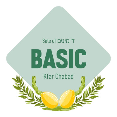 Lulav & Esrog Set - Basic (Kfar Chabad)