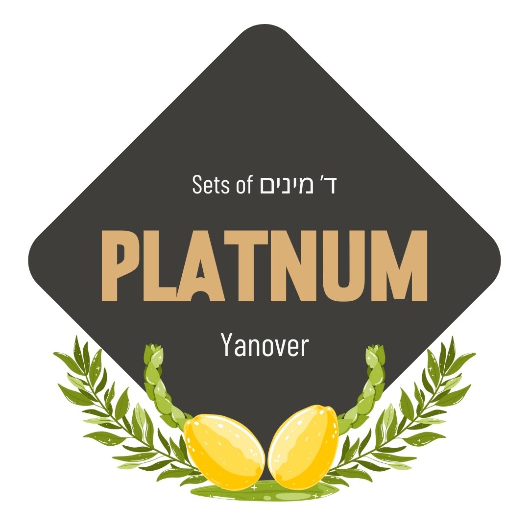 Lulav & Esrog - Platinum Set (Yanover)