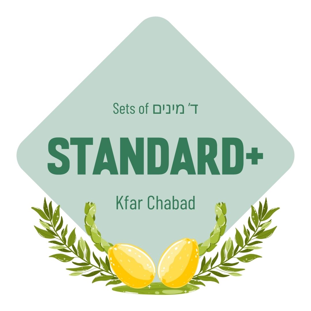Lulav & Esrog Set - Standard (Kfar Chabad)