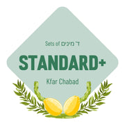 Lulav & Esrog Set - Standard (Kfar Chabad)