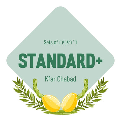 Lulav & Esrog Set - Standard (Kfar Chabad)