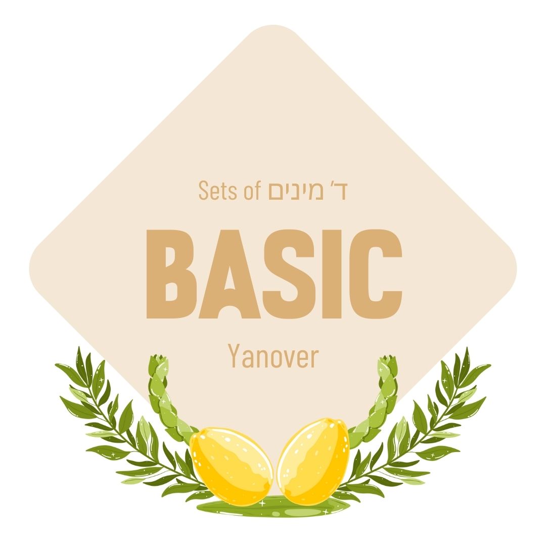 Lulav & Esrog - Basic Set (Yanover)