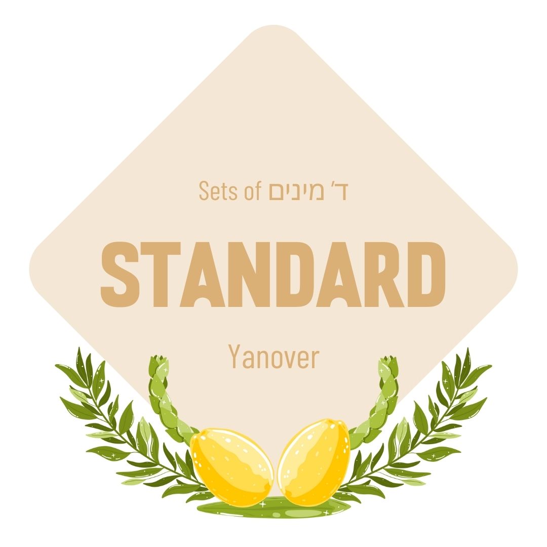 Lulav & Esrog - Standard Set (Yanover)