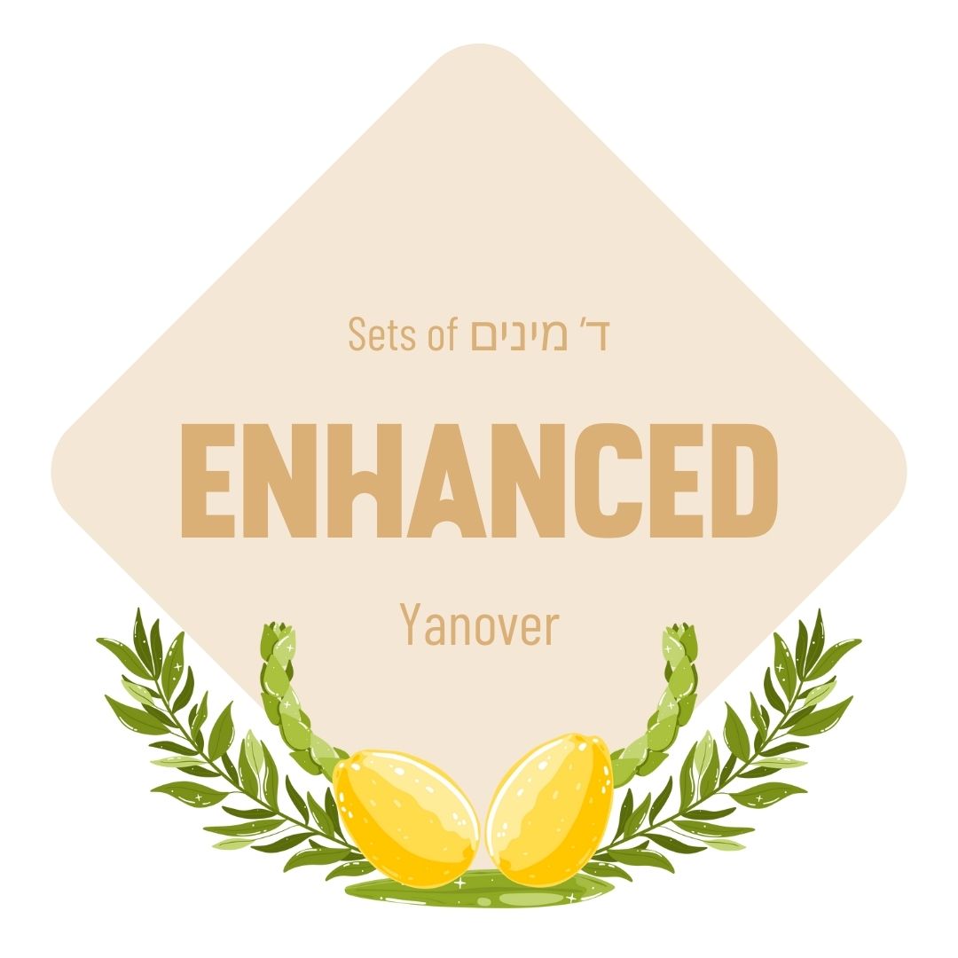 Lulav & Esrog - Enhanced Set (Yanover)
