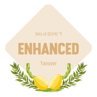 Lulav & Esrog - Enhanced Set (Yanover)