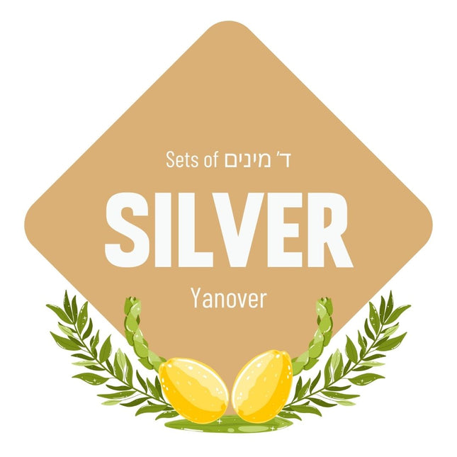 Lulav & Esrog - Silver Set (Yanover)