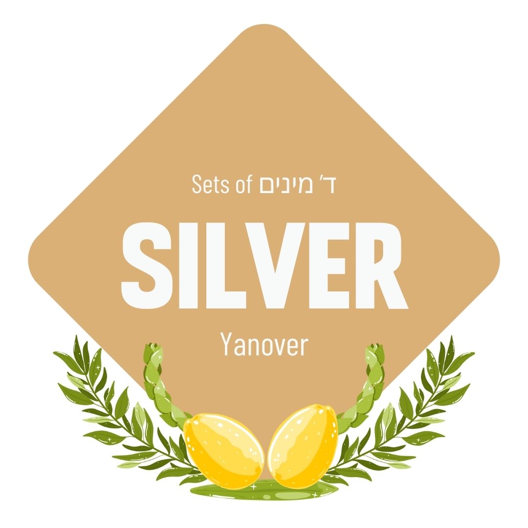 Lulav & Esrog - Silver Set (Yanover)
