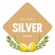 Lulav & Esrog - Silver Set (Yanover)