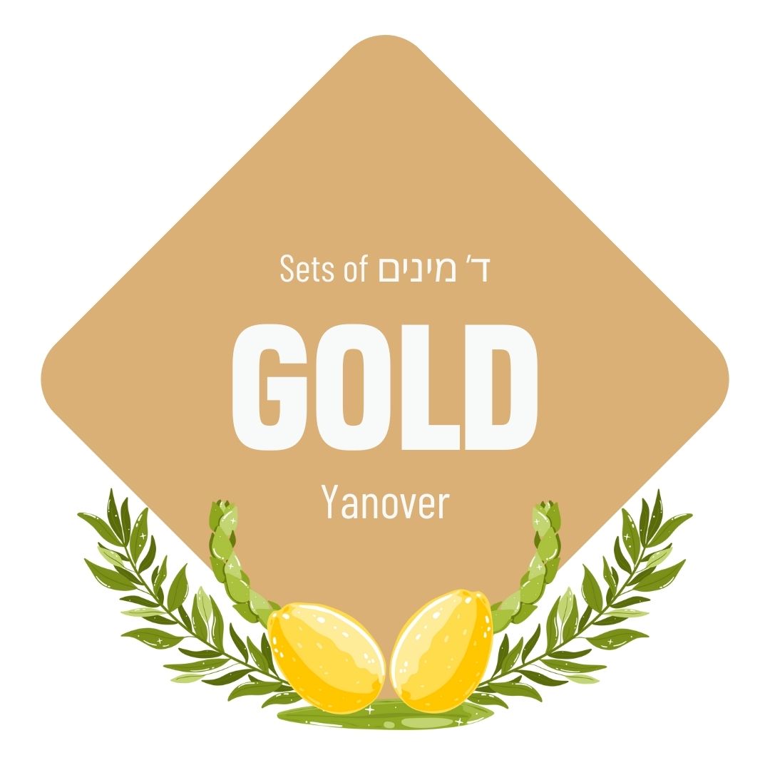 Lulav & Esrog - Gold Set (Yanover)