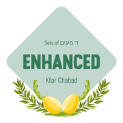 Lulav & Esrog Set - Enhanced (Kfar Chabad)