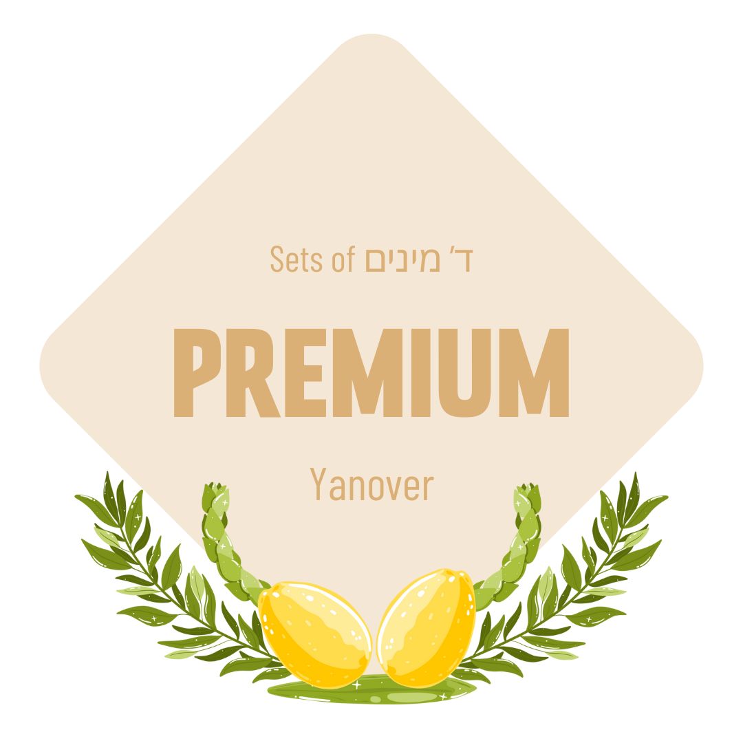 Lulav & Esrog - Premium (Set (Yanover)