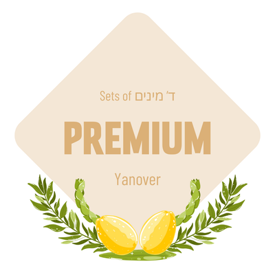 Lulav & Esrog - Premium Set (Yanover)