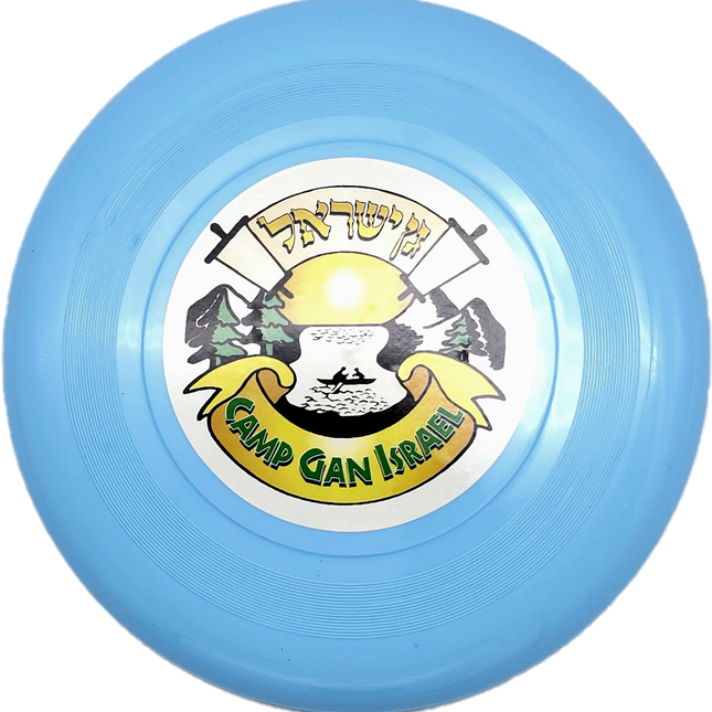 CGI Frisbee