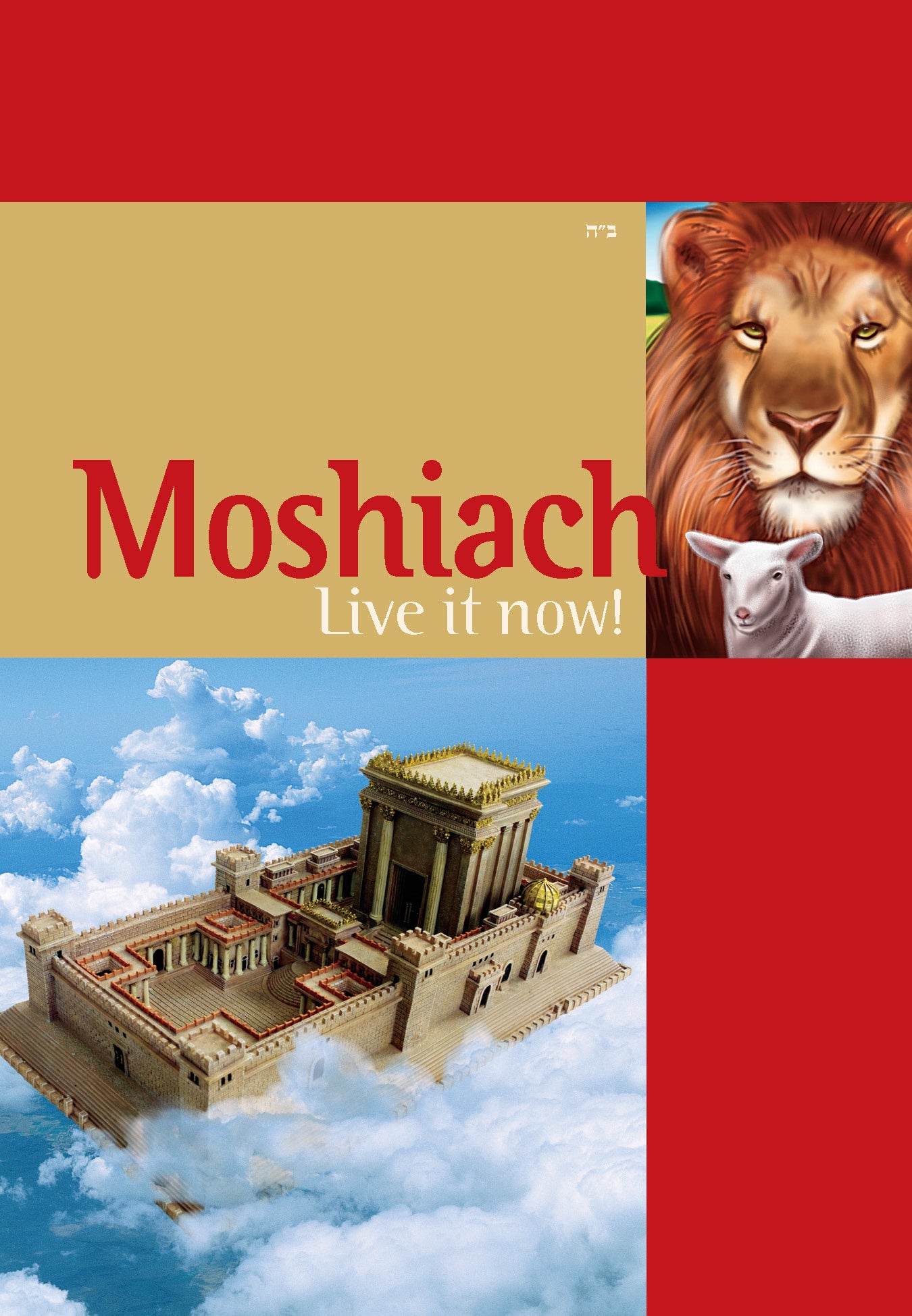 Mivtzoim Brochures