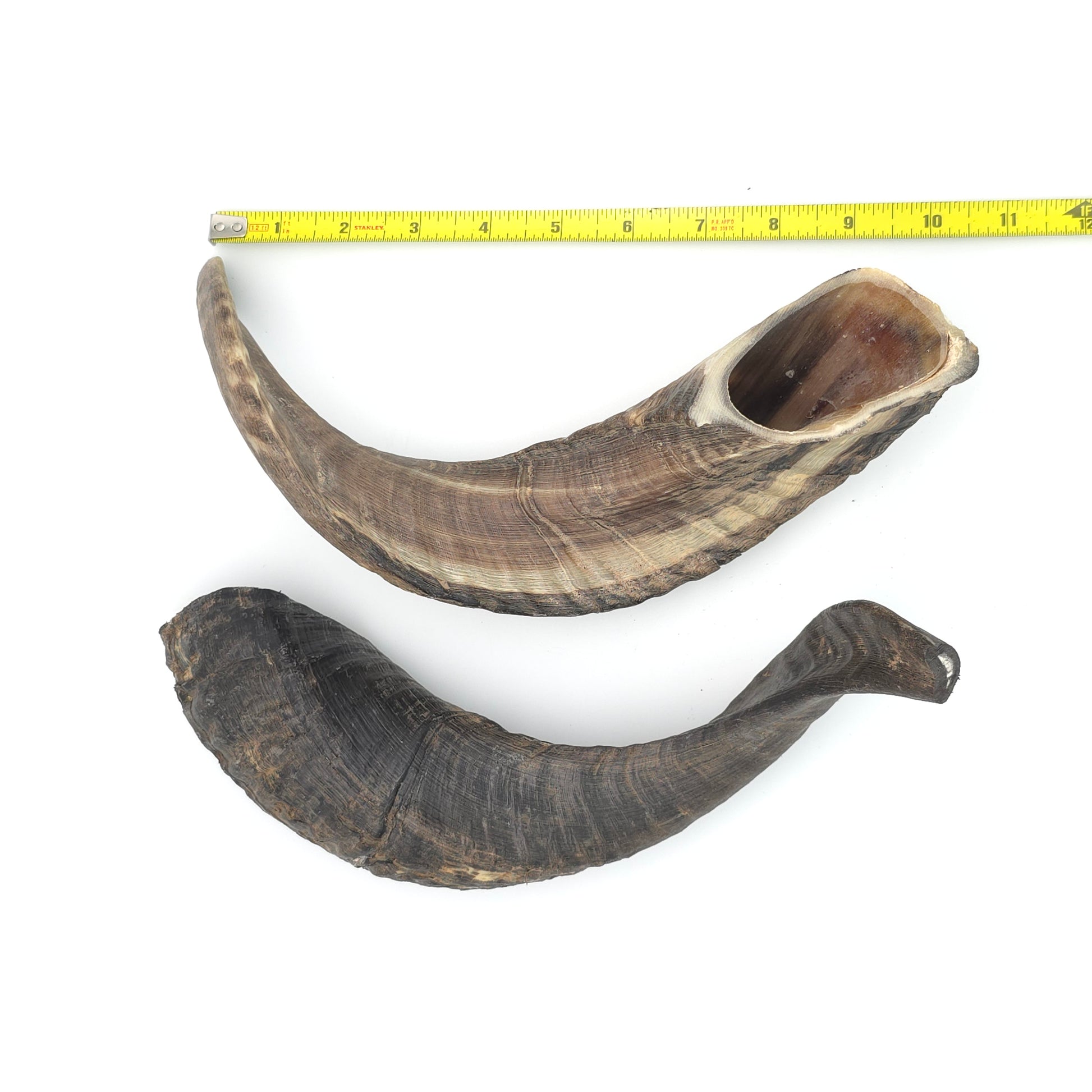 LARGE