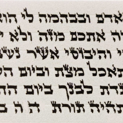 Alter Rabbe Parshiyos