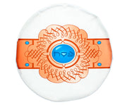 Vinyl Matzah Tash/Bag