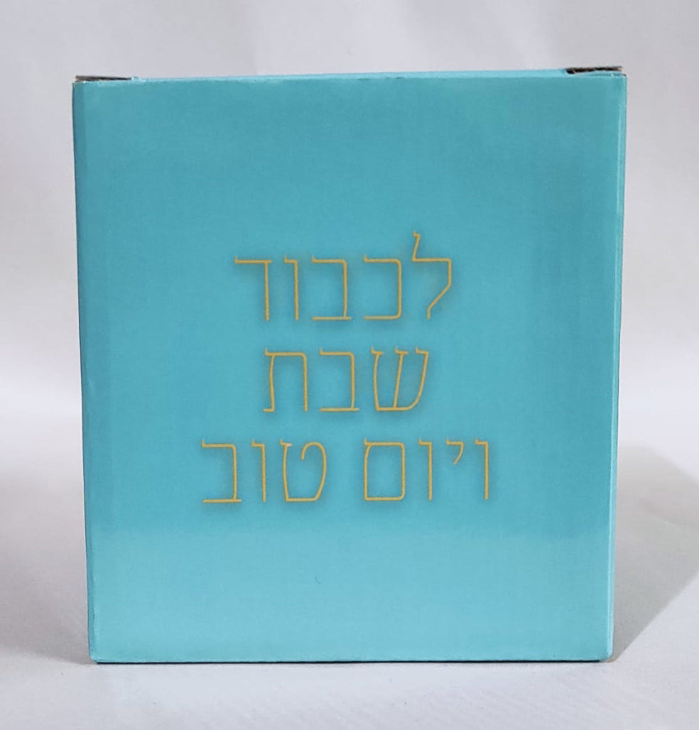 Acrylic Wash Cup