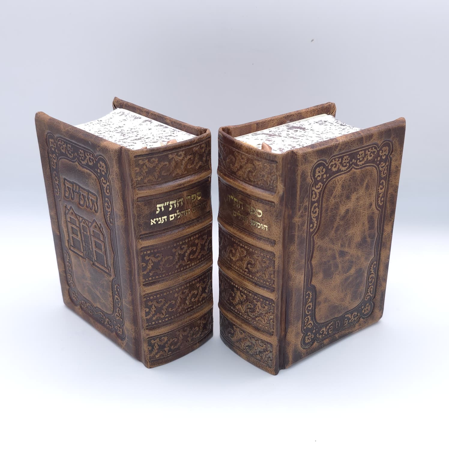 Leather Chitas - American Print - 770 Design
