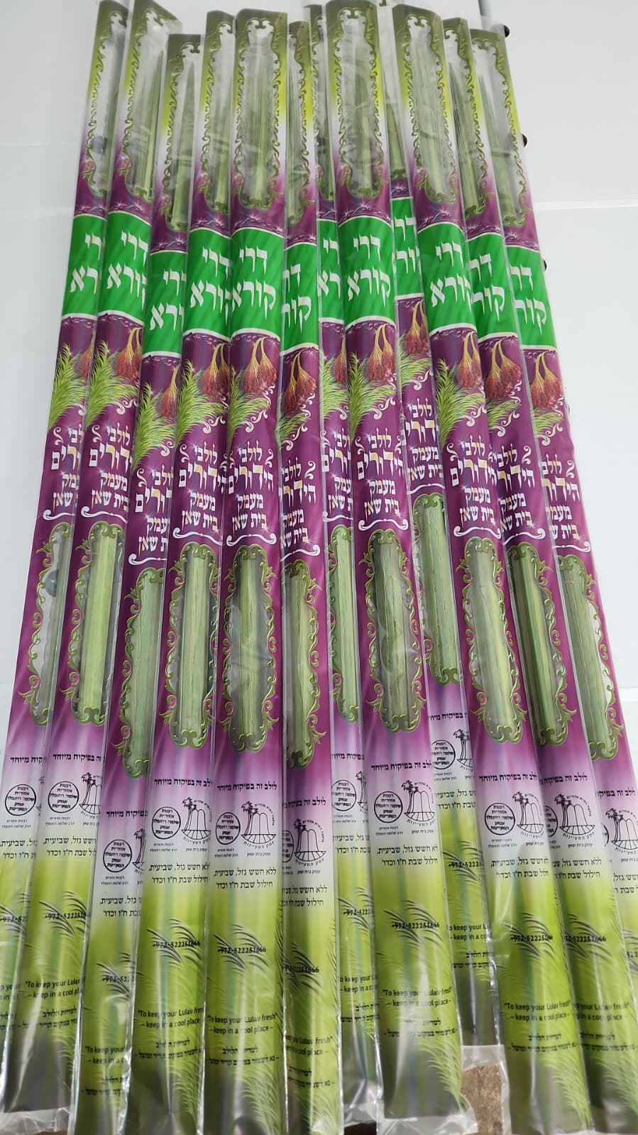 Lulav Mehudar