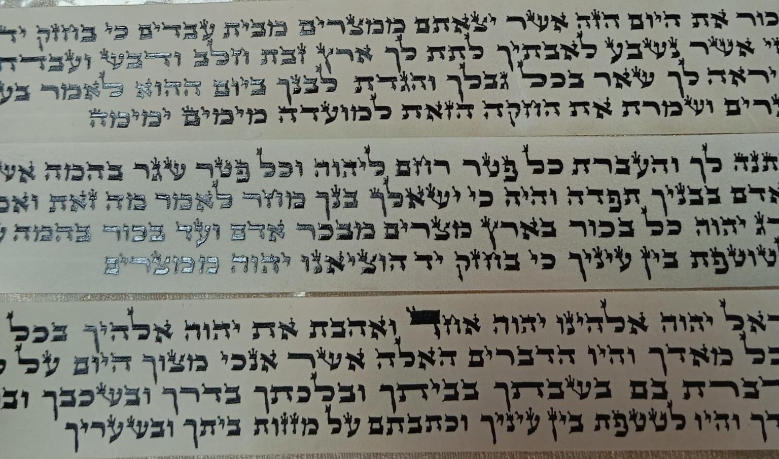 Alter Rabbe Parshiyos