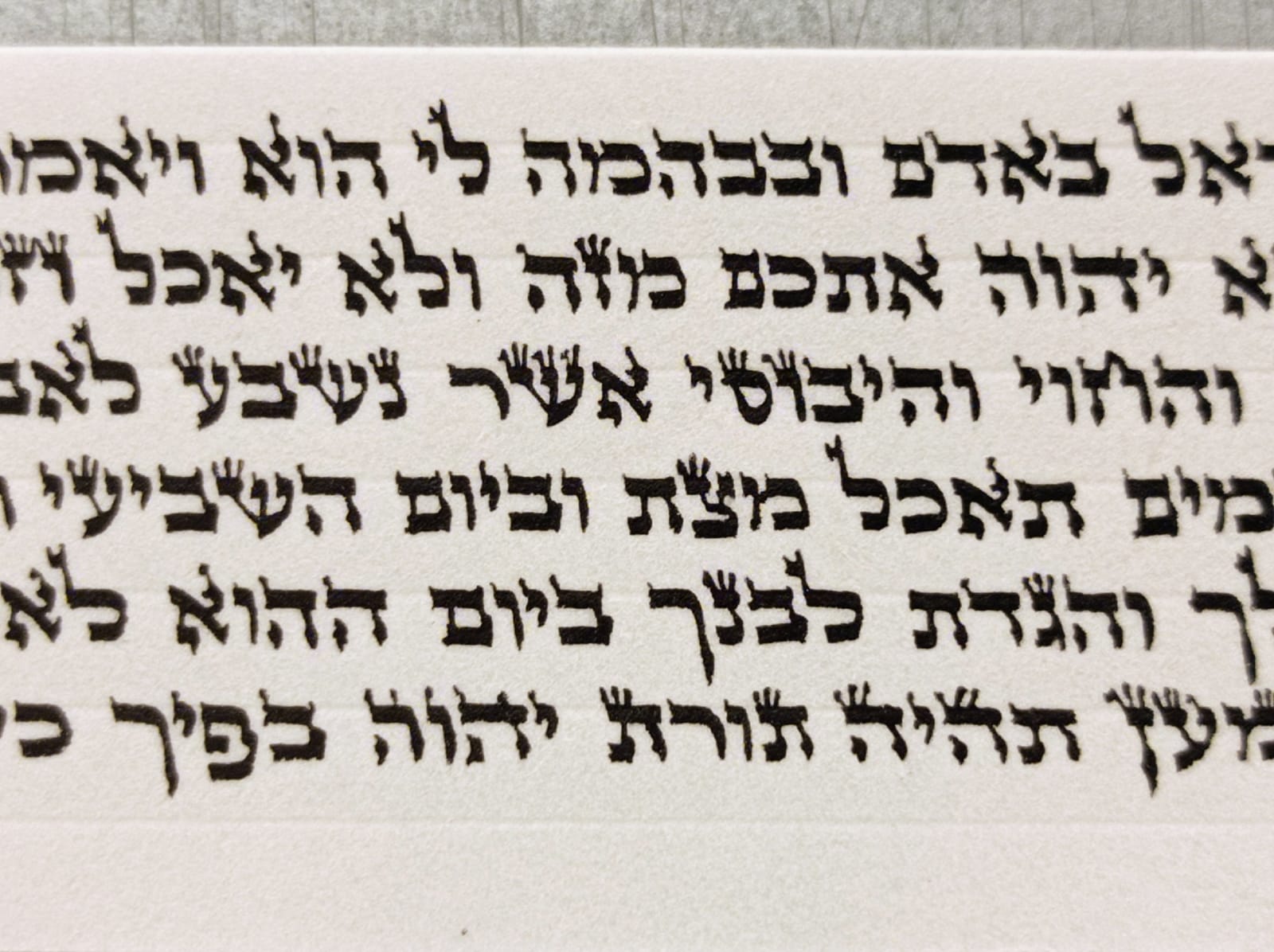 Alter Rabbe Parshiyos