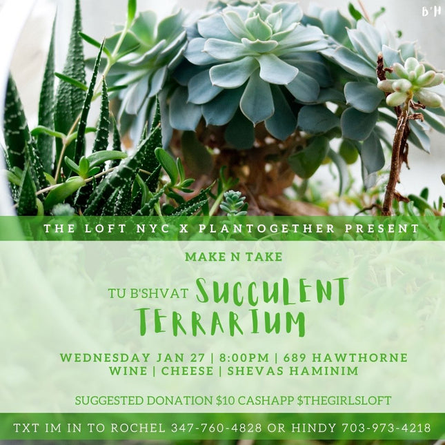Women's Group - Succulent Terrarium #1 - Social Media