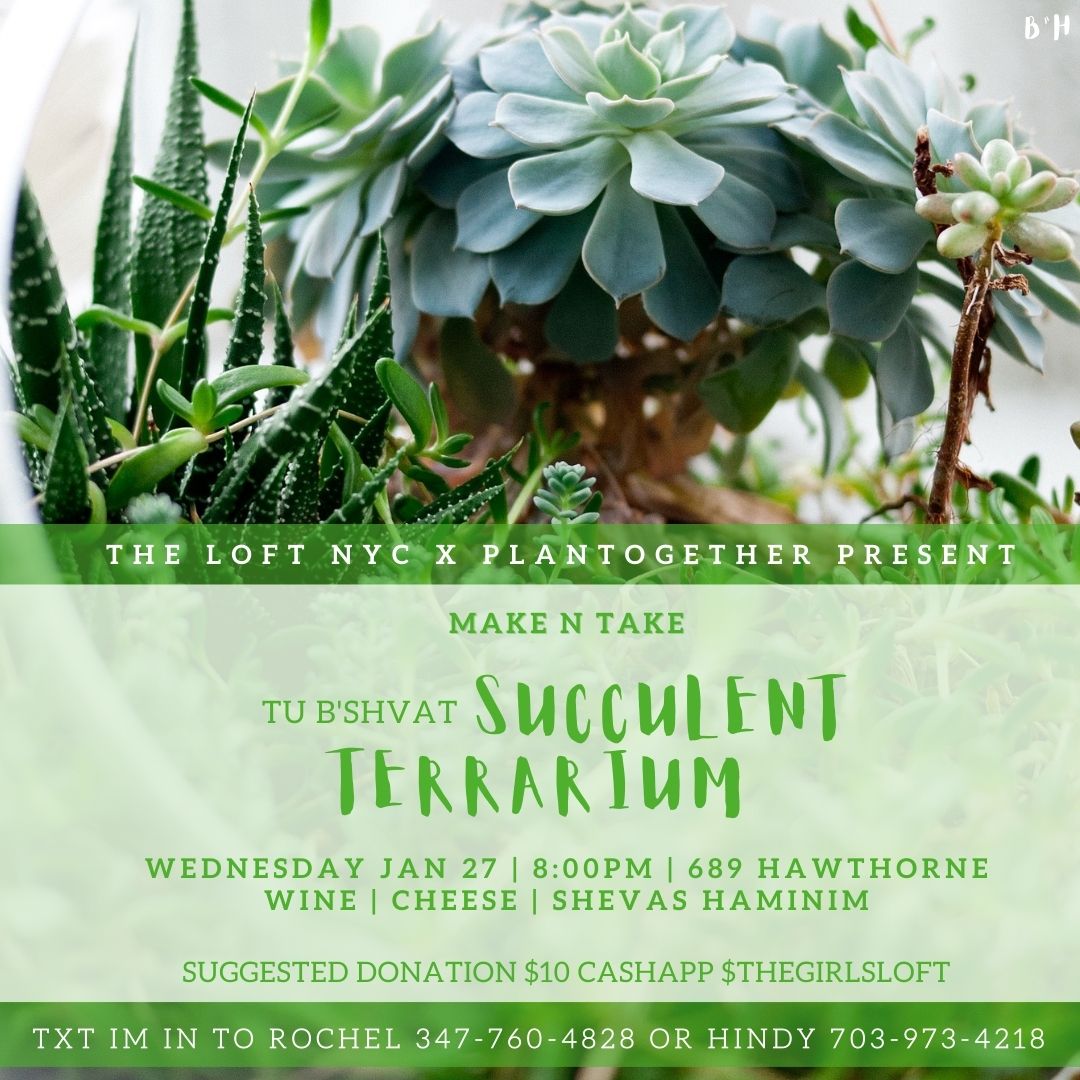 Women's Group - Succulent Terrarium #1 - Social Media
