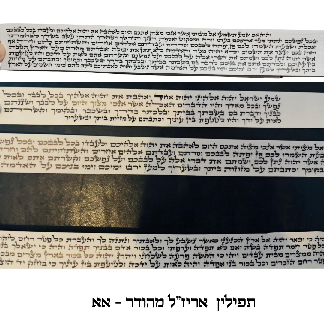 Arizal Tefillin - USA