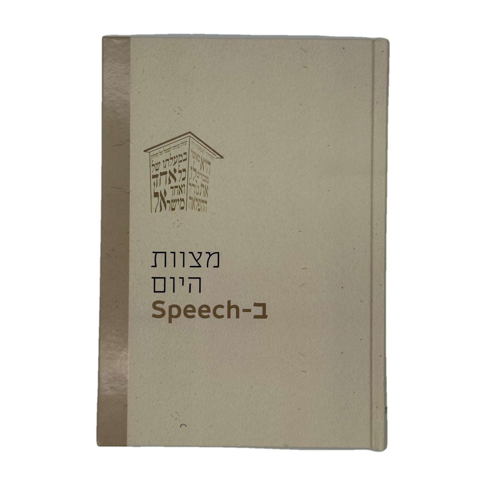Mitzvas Hayom B’Speech