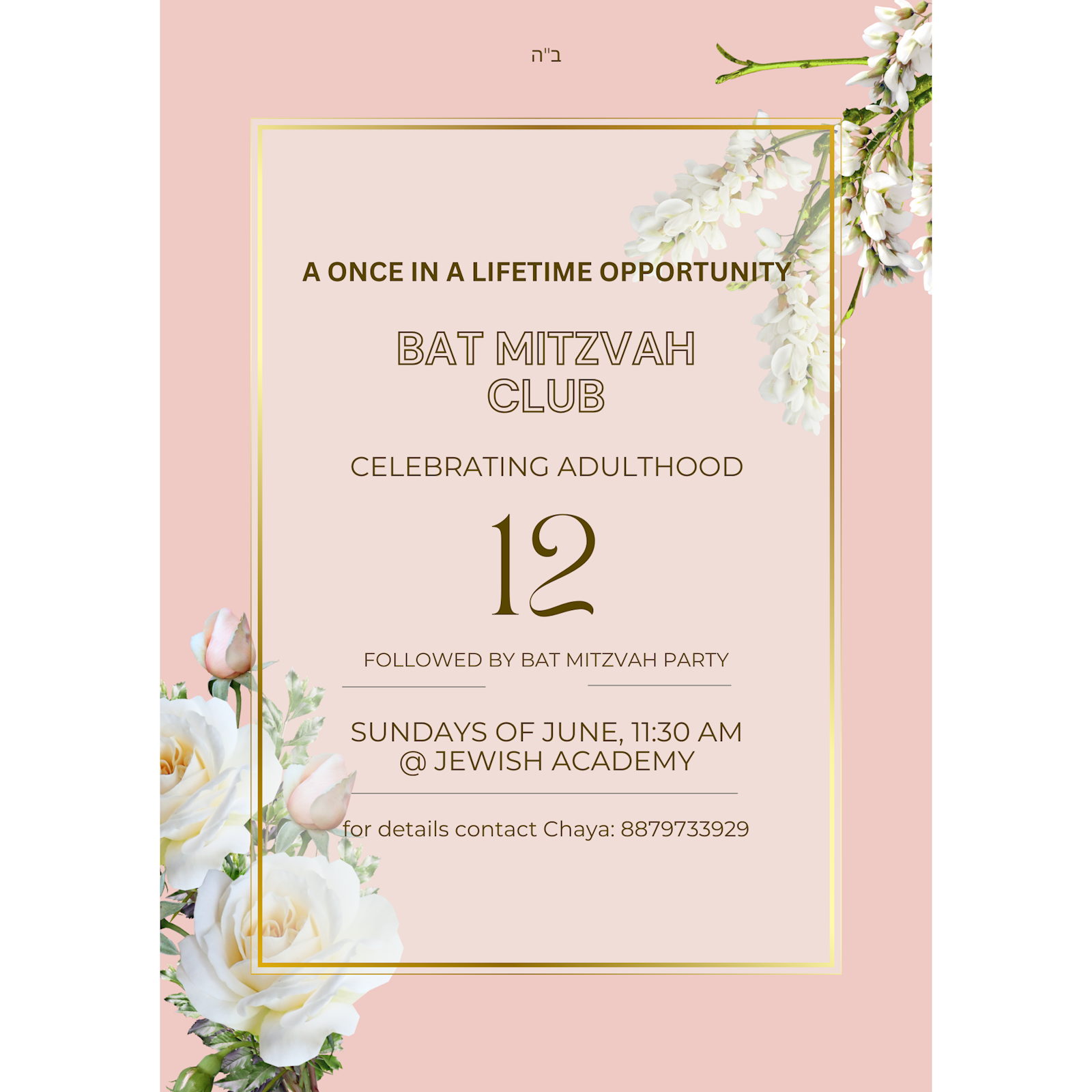Bas Mitzvah - Bat Mitzvah Club #2 - Flyer