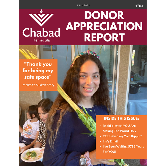 Campaign - Donor Report #4 - Flyer