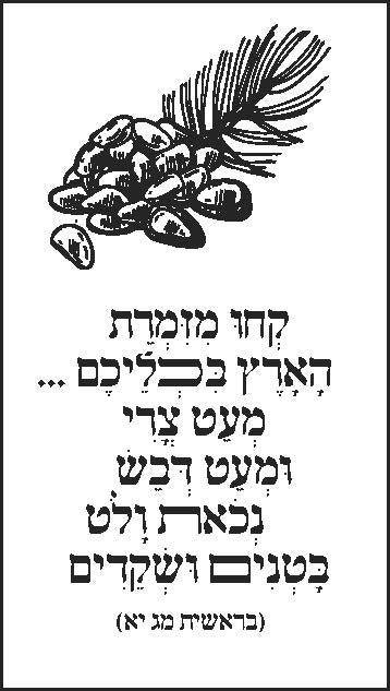 Tu B'Shevat Gift Package