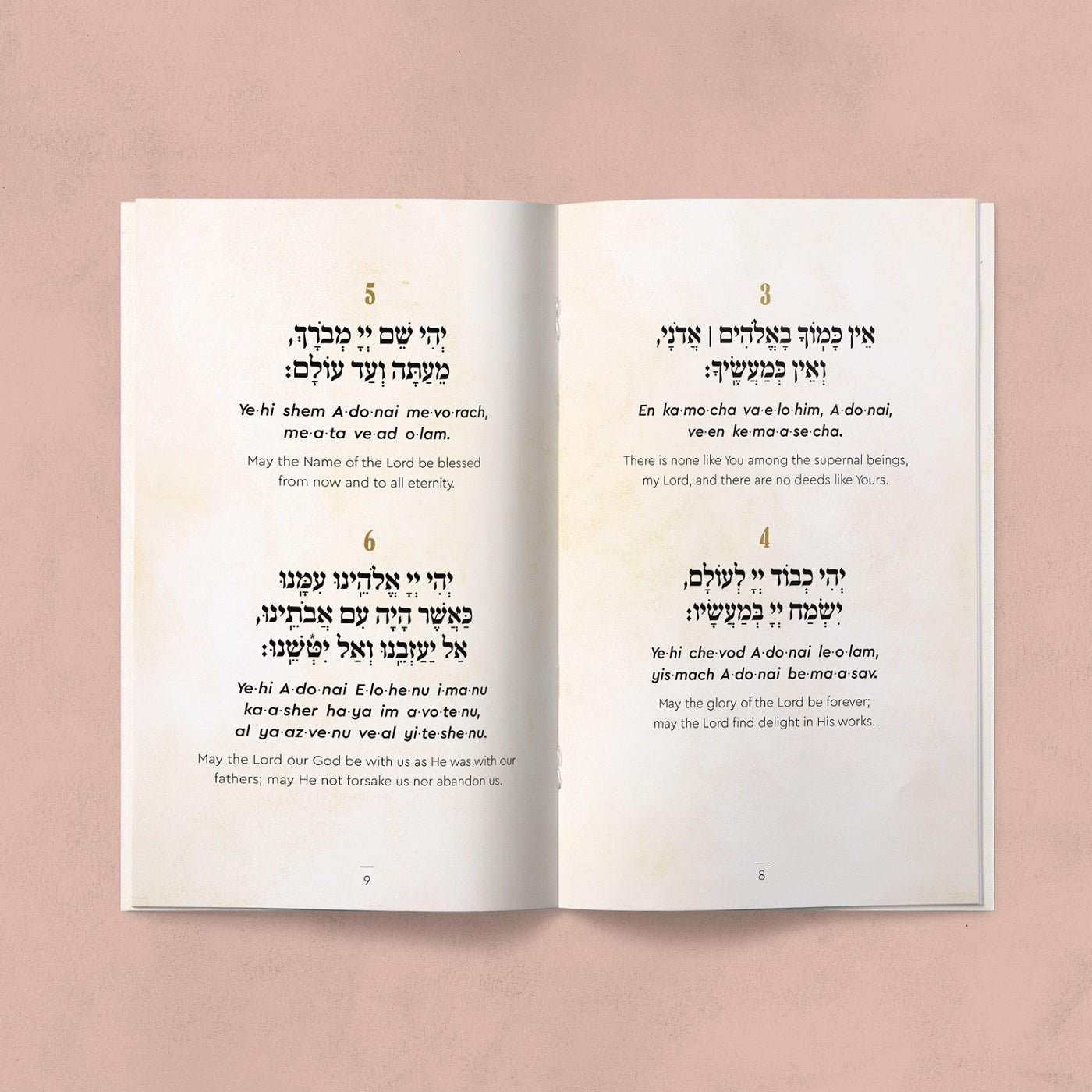 Hakafot Handbook