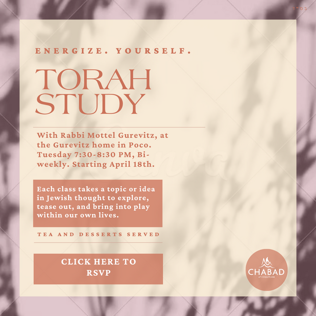 Class - Torah Study #1 - Social Media
