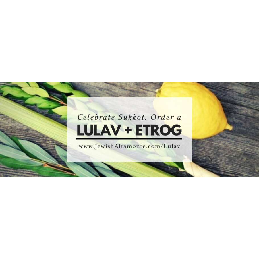 Sukkos - Lulav & Esrog #1 - Banner
