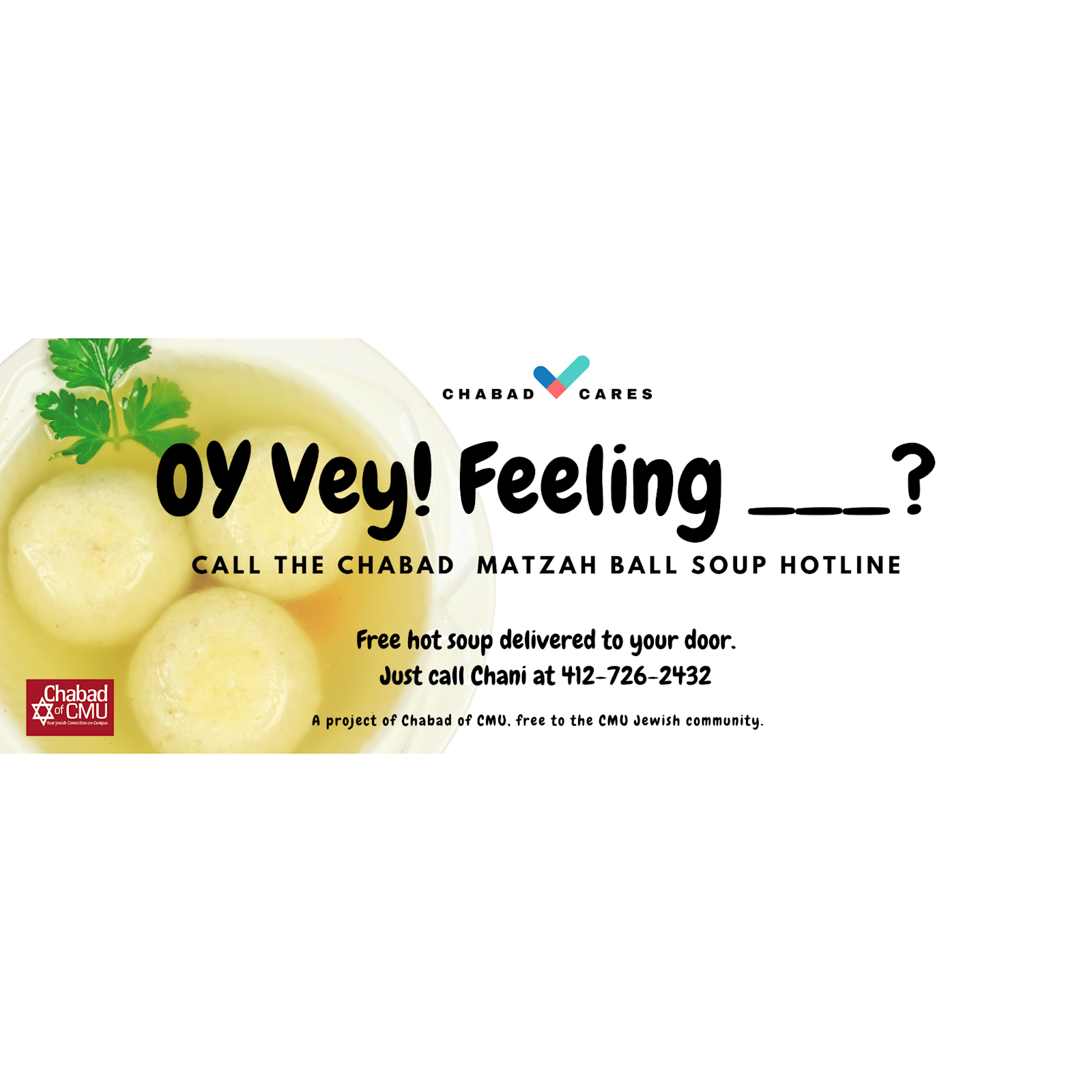 Food/Takeout - Chicken Soup Delivery #2 - Banner