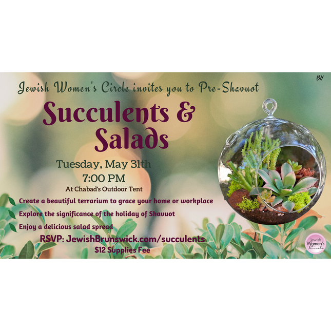 Women's Group - Succulents & Salads #2 - Banner