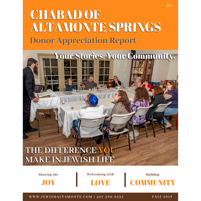 Campaign - Donor Report #1 - Flyer