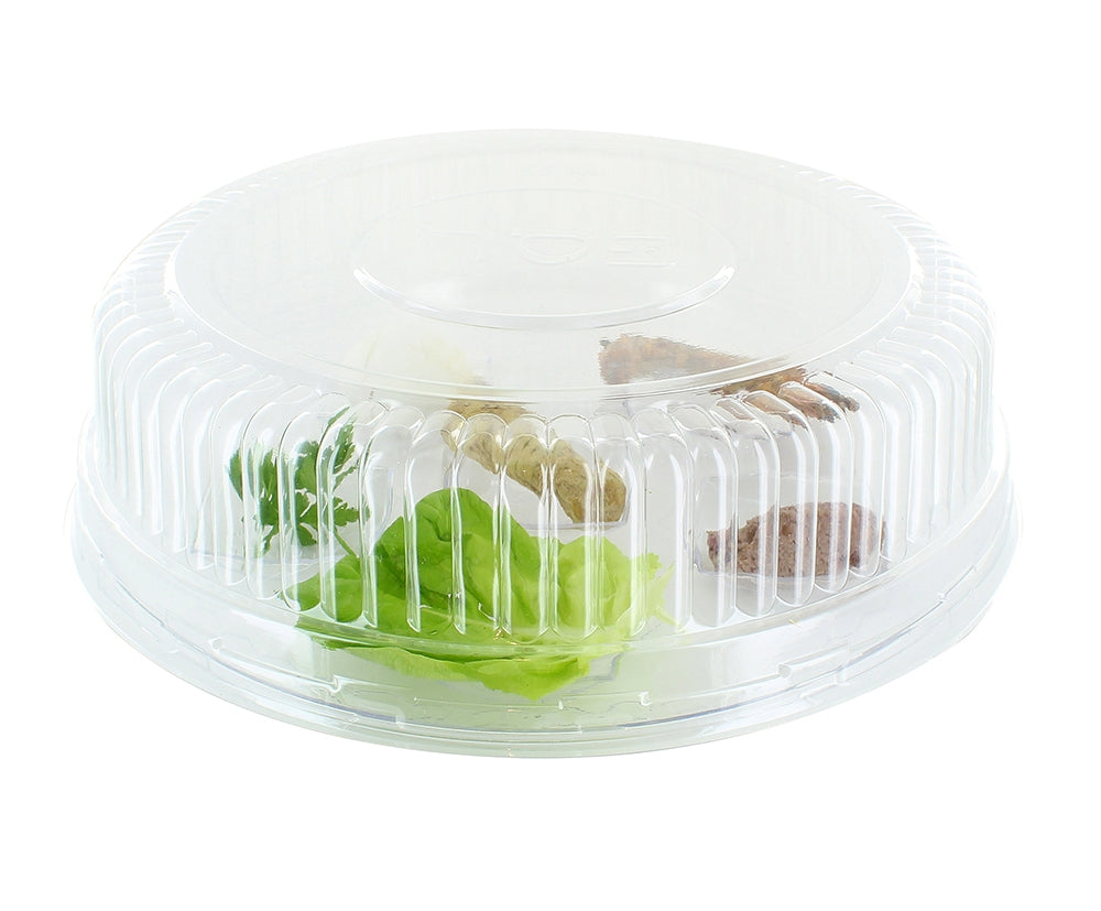 Disposable Deli Lid For Clear Seder Plate - 12 Pack
