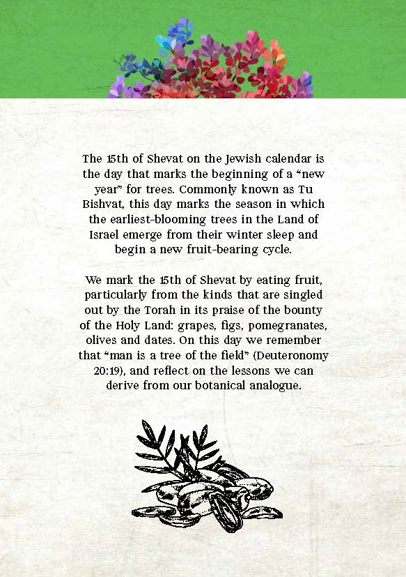 Tu B'Shevat Gift Package