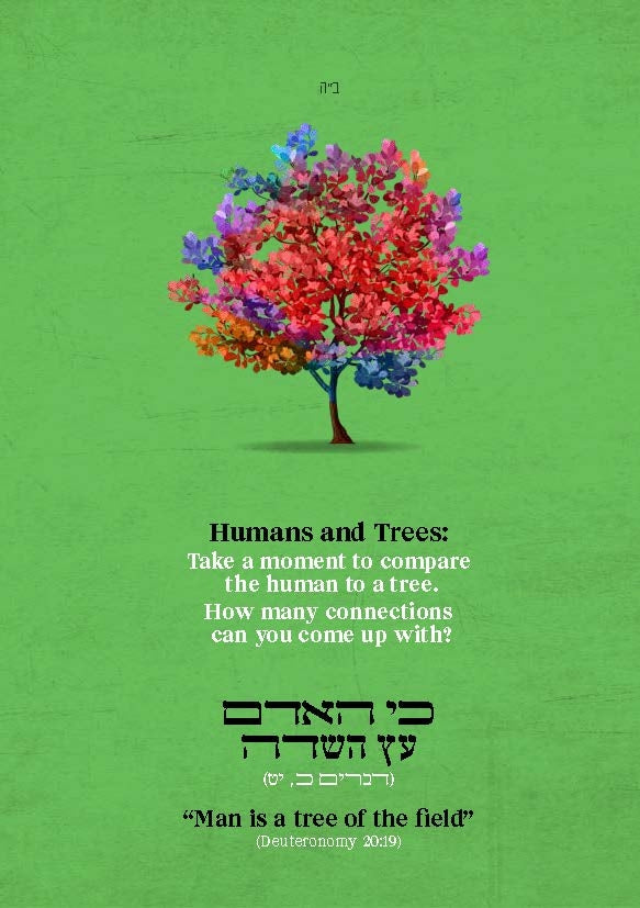Tu B'Shevat Gift Package