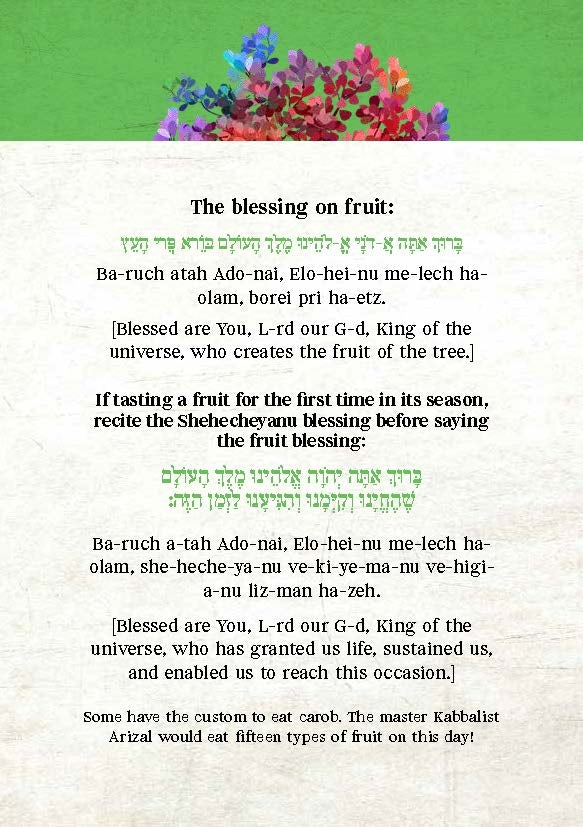 Tu B'Shevat Gift Package